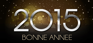 InSitu vous souhaite une excellente année 2015 !